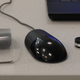 Illustration for article titled The Future of Mice (If There Is One)